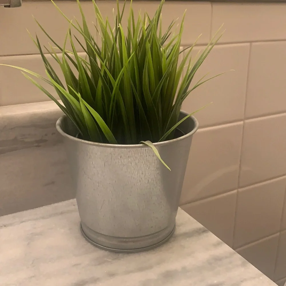 Trendy IKEA Potted Plant